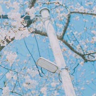 大清俊王爷官方正版(暂未上线)v1.1.0 安卓最新版